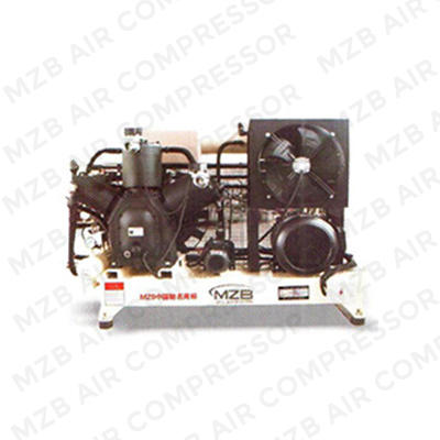 Воздушный компрессор высокого давления WM 1630